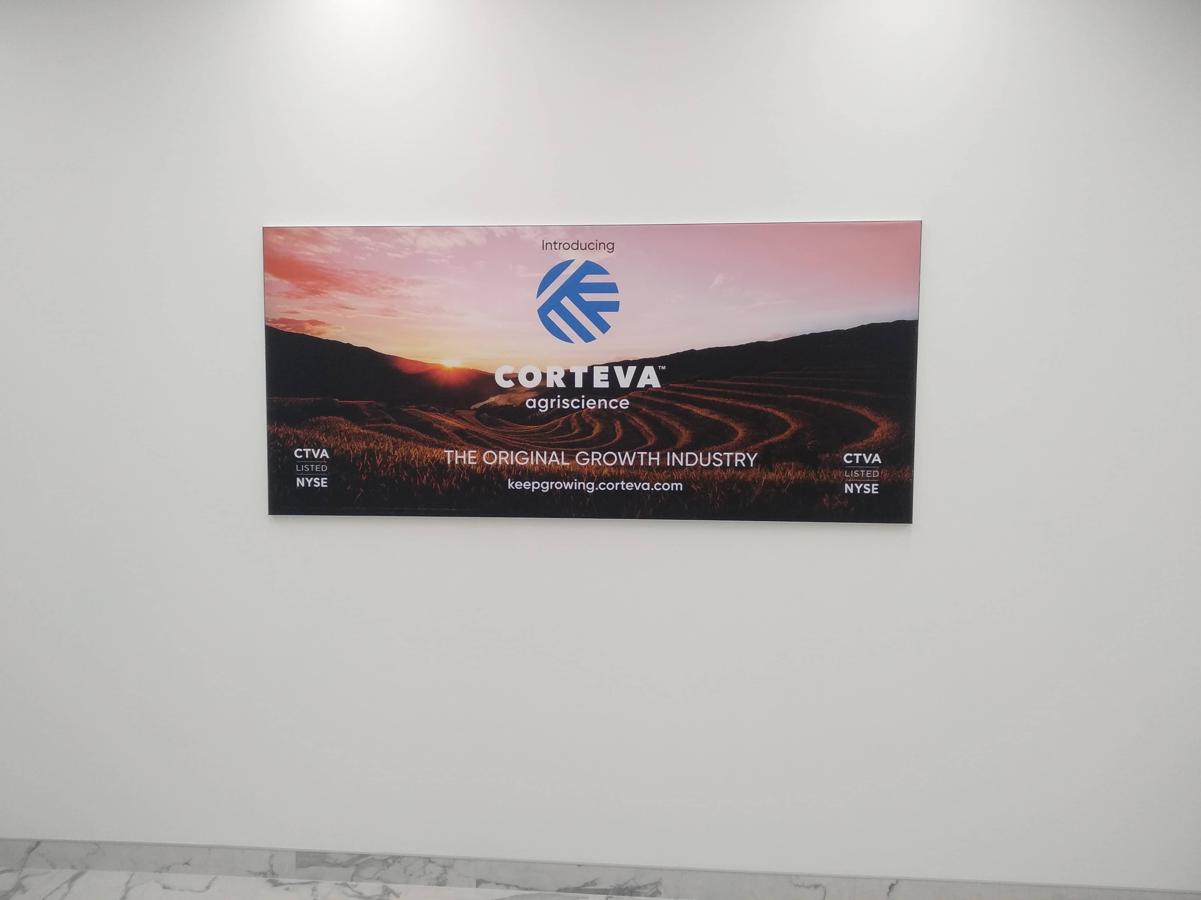 Монтаж в компании Рекстори